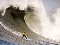 FB体育下载-独步围场，哈斯车队的完胜与阿隆索的传奇之夜