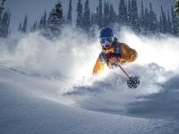 FB体育注册网址-鹈鹕展翅撕裂快船防线，锡安·威廉姆森狂暴40+15统治全场