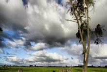 FB体育在线-关于智利队险胜秘鲁，晋级机会旺盛的信息