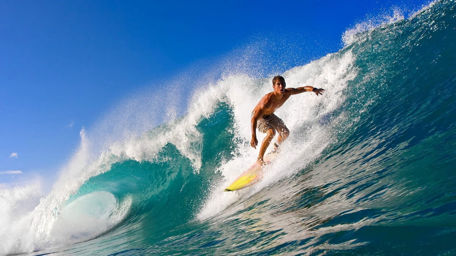 哈弗茨闪电破门定乾坤，多特蒙德战术风暴击穿喀麦隆