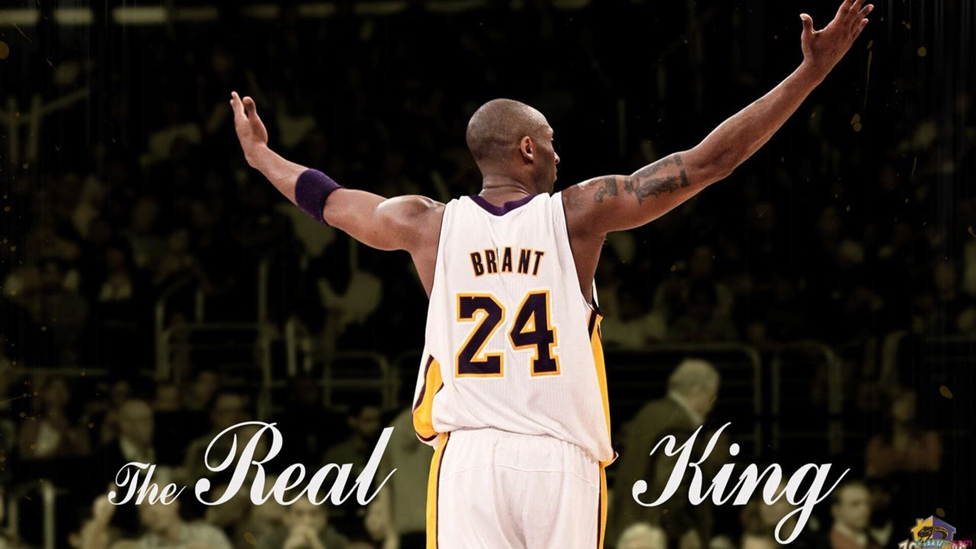 浙江风暴席卷辽宁，克莱式统治力诠释篮球新维度